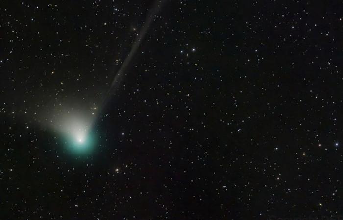 The green comet that will be visible for the first time in 50,000 years is going through an unusual phenomenon: its tail appears to be coming off