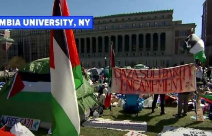 Unprecedented pro-Palestinian demonstrations in the US. What protesters on American college campuses really want VIDEO