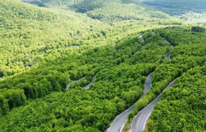 The first batch of Transapuseana, the most expensive county road in Romania, has been received