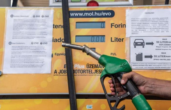 Fuel traders in Hungary have been given a two-week deadline to lower fuel prices