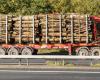 Hungary wants to ban firewood exports after Russian oil delivery through Drujba pipeline stopped