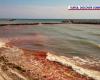 The Black Sea turned red. Extremely rare phenomenon on the Romanian coast