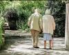 Urgent action on elderly care insurance