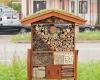 What are insect hotels? They also appeared on the green spaces of Satu Mare