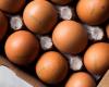 Brown eggs will disappear from supermarkets. What is the reason