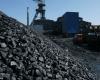 Advance applications for coal quota to CEO