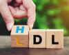How to keep your LDL cholesterol under control? – GorjOnline
