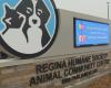 Regina Humane Society sends out an urgent plea to adopt dogs