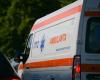 A man from Neamt died after a tree fell on him