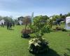Unique event, on Saturday and Sunday, dedicated to lovers of plants, flowers and nature, in Copou – Ziarul de Iasi