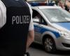 Policeman dead after collapsing to the ground in a garden in Germany. He and his colleagues intervened in an altercation, when a young man attacked them