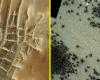 New satellite images show hundreds of black “spiders” on Mars