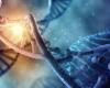 THE HUMAN GENOME In human DNA there is a message from God