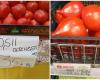 “Oltenesti” tomatoes, sold at double the price of the same tomatoes (but presented, really, from Italy) existing in supermarkets!
