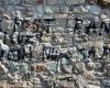 PHOTO: Dogarilor Wall, built by the people of Bistri more than 500 years ago, vandalized with graffiti. The Local Police reported itself – Bistriteanul