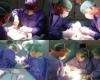 Six transplants, successfully performed at the Renal Transplant Institute Cluj