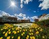 Weather with sun and rain, with maximums of 25 degrees, on May 1. Weather forecast for Cluj.