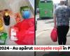 Elections 2024 – The red bags have appeared in Piatra-Neamt! (PHOTO)