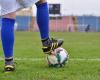 The footballers from FC Bihor are starting the series of games…