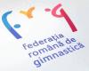 The Romanian Gymnastics Federation received donations worth 300,000 euros, after “Free Europe” reported on the financial difficulties they are facing
