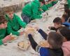 Volunteering week for young Dutch people in Bihor – Oradea live