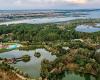 “Danube Delta” From Siret. 82 Hectare Holiday Village With Zoo, Sport Fishing and Kilometers