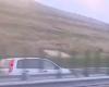 VIDEO: Driver caught while driving in the opposite direction, on the A10 Alba Iulia – Aiud highway. The police are looking for him