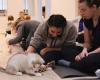 What Is “Puppy Yoga” And Why The Practice Was Banned In Italy