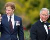 Prince Harry, a new meeting with King Charles in Great Britain