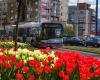 Transport lines from Cluj that will run on diverted routes on Easter Sunday
