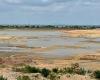 Bengaluru Lakes: Drying up amid urgent need for rainfall