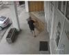 A Man Was Filmed Stealing A Wooden Bench In Front Of A Veterinary Clinic In Cluj-Napoca, On Holy Saturday. Viral Message On Facebook