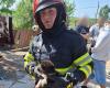 Firefighters from Tulcea rescued “two fluffy and beautiful puppies” from a house engulfed in fire