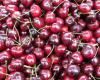 Where to find cheap cherries. Worth buying from here