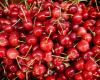 As much as May cherries are sold by the side of the road. The price is much lower than in the supermarket or market