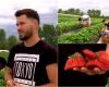 A farmer from Satu Mare grows giant strawberries: six weigh one kilogram. How much money does he sell to customers from all over the country
