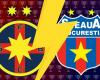 FCSB VS CSA Steaua, the last details in the war for records. The process is blocked. The fans complain to the Judicial Inspection