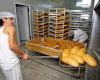 County bakeries fined by labor inspectors