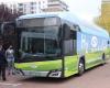 A hydrogen bus will be tested in Cluj-Napoca: “Travel will be free during the tour”
