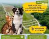 Mioveni Free sterilizations for dogs and cats of common breed