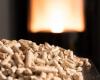 Pellets price per ton – The smart choice for heating your home efficiently and environmentally