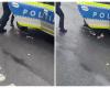 Cluj – Incredible scenes! A policeman struggles to detain a man, and his colleague gassed him by mistake – VIDEO