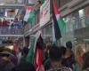 Violence erupts at University of Queensland pro-Palestine protest amid ‘urgent’ calls for inquiry into anti-Semitism at universities