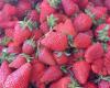 How much does a kilogram of Romanian strawberries cost! The price bothers everyone!