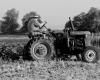Romanian agriculture does not have enough tractor drivers. Salaries in the field reach up to 3,000 euros. The reasons that led to the crisis