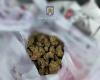 A drunk and drugged young man caused a road accident on the highway near Lugoj. The police found a bag of cannabis in his car – Lugoj Info