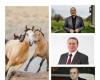 Savory lines between Boc and PSD! Boc: “You don’t change the horse when you go up the hill”/PSD: “We have to change more horses, because they are lazy!