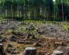 Urgent need to halt deforestation, check further land degradation by 2030: UN forum on forests | Latest News India